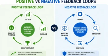 Diagram showing positive feedback loop vs negative feedback loop with arrows illustrating reinforcement and balance in behavior and biology.